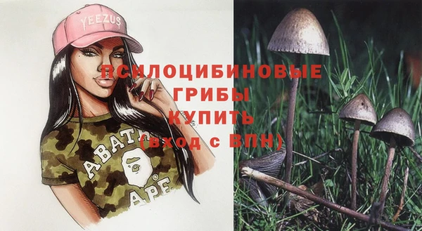 гашик Алзамай