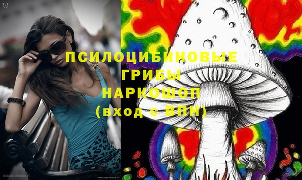 амф Сафоново
